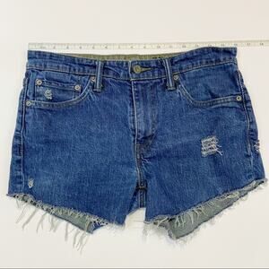 Levi’s 511 Custom Distressed Cut Off Shorts Sz M
